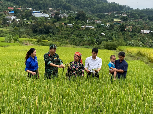 Đắk Nông: Huy động nhiều nguồn lực xây dựng nông thôn mới  
